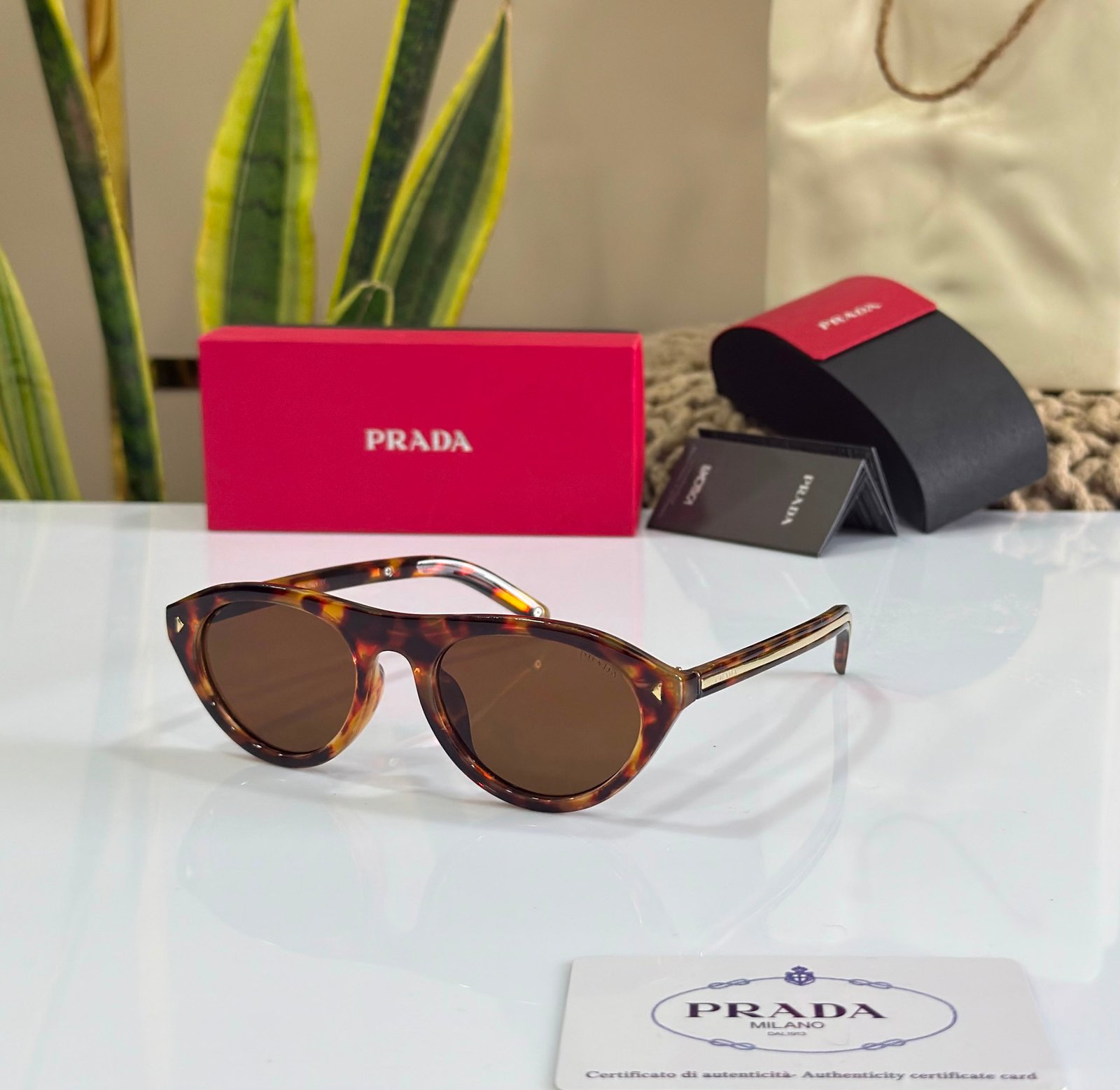 Luxury Designer Sunglass - AOD-EW01